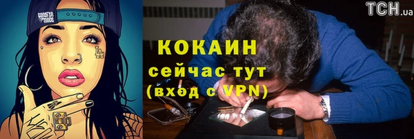 шишки Богородицк
