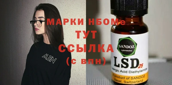шишки Богородицк