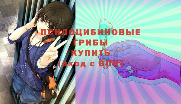 таблы Бородино