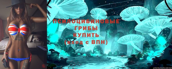 шишки Богородицк