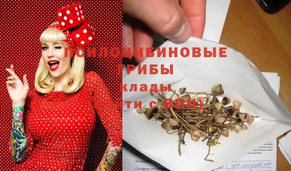 шишки Богородицк