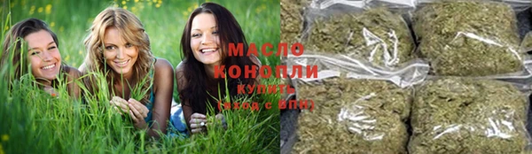 таблы Бородино