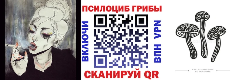 Галлюциногенные грибы Psilocybe  Верхний Тагил 